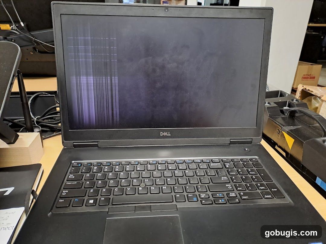 Damaged Laptop Screen