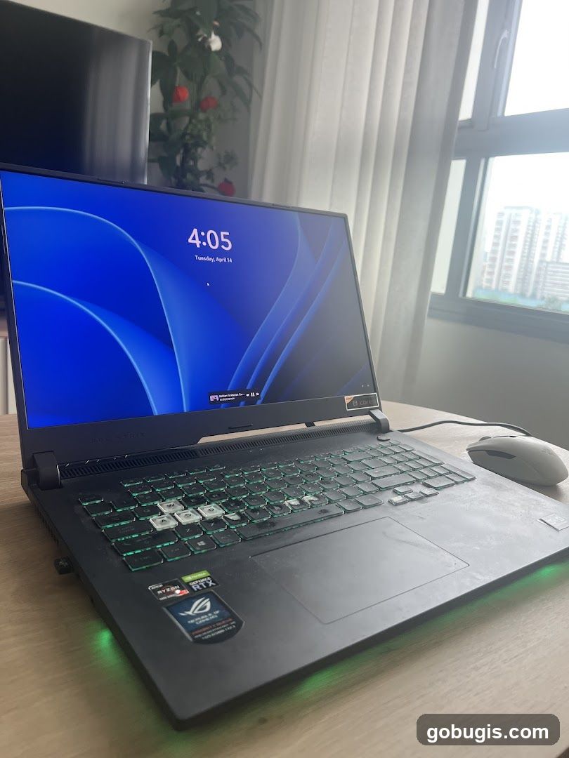 Gaming Laptop Setup