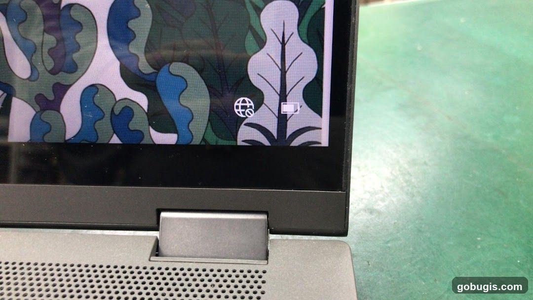 Laptop Screen Detail