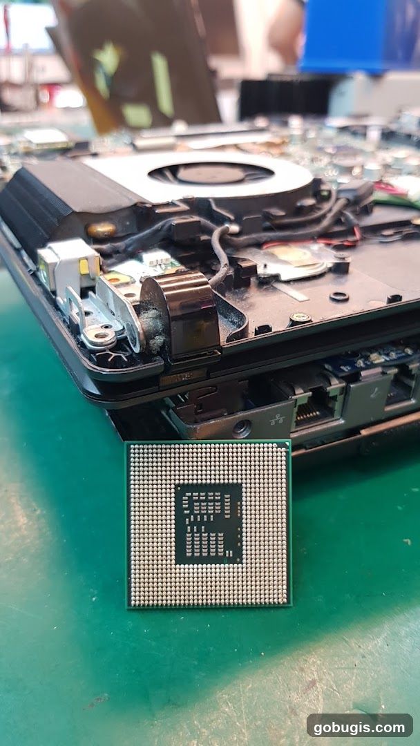 Computer Processor and Internal Components
