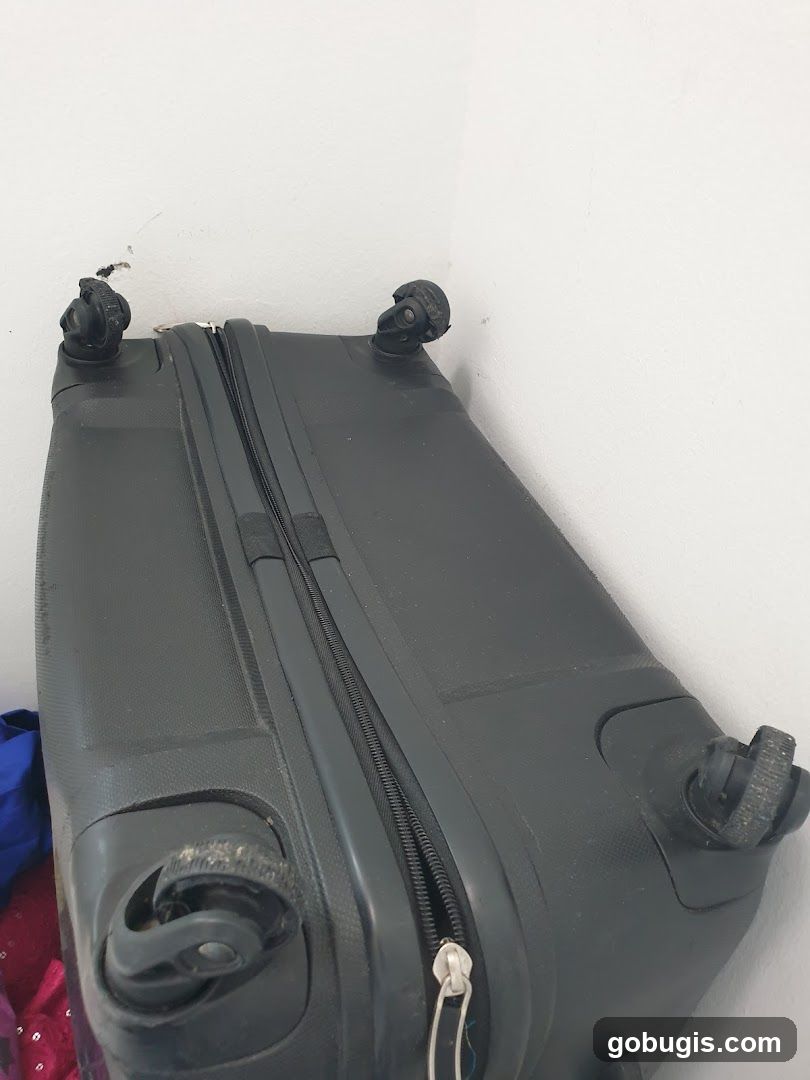 Black Suitcase