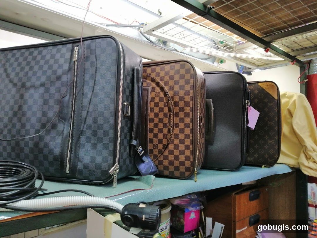 Designer Luggage Display