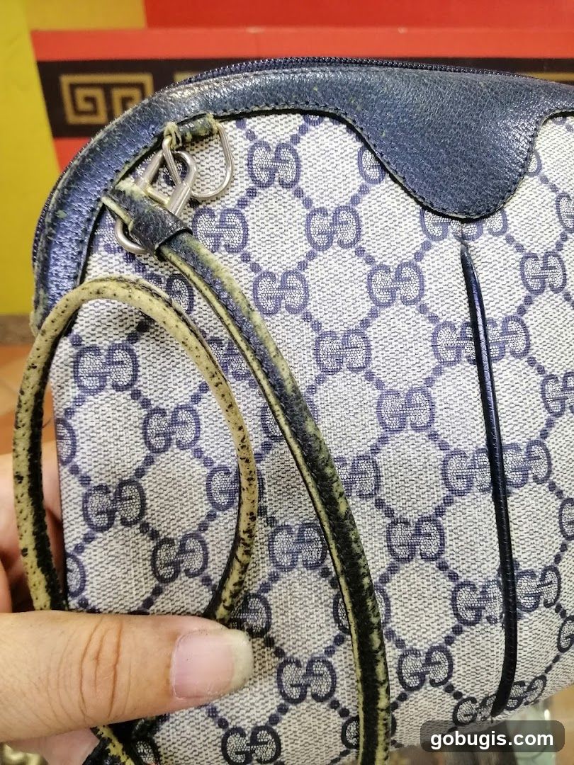Gucci Monogram Bag