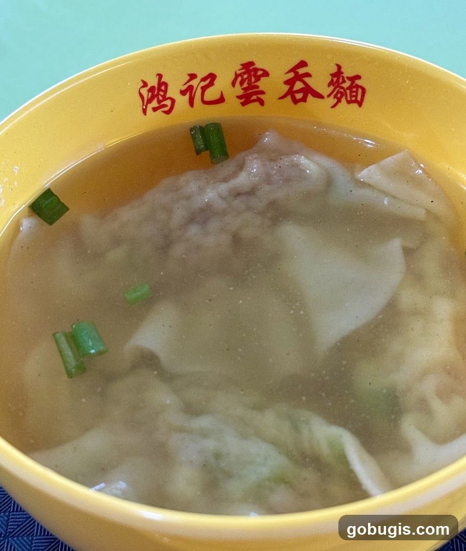 Wonton Soup
