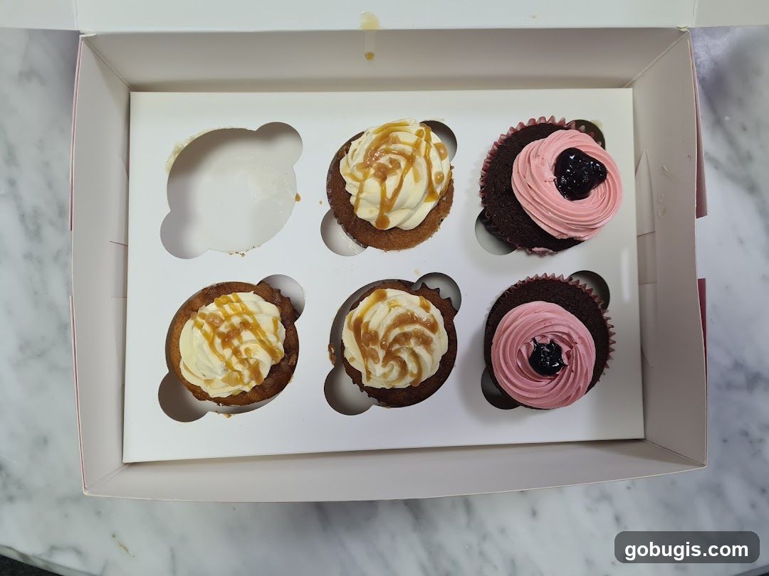 Cupcakes in a box