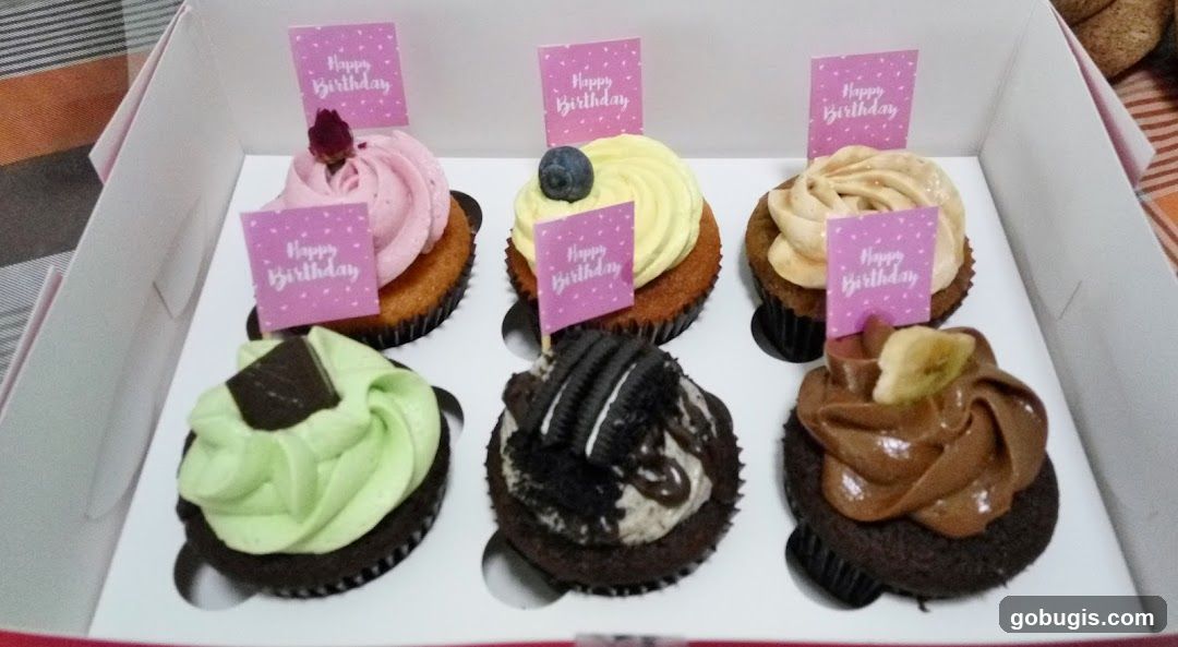 Cupcakes in a box