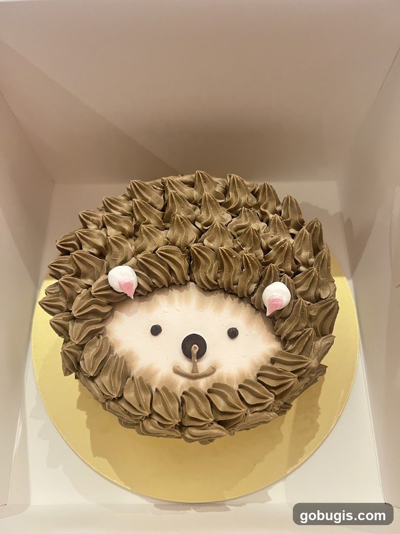 Hedgehog Cake