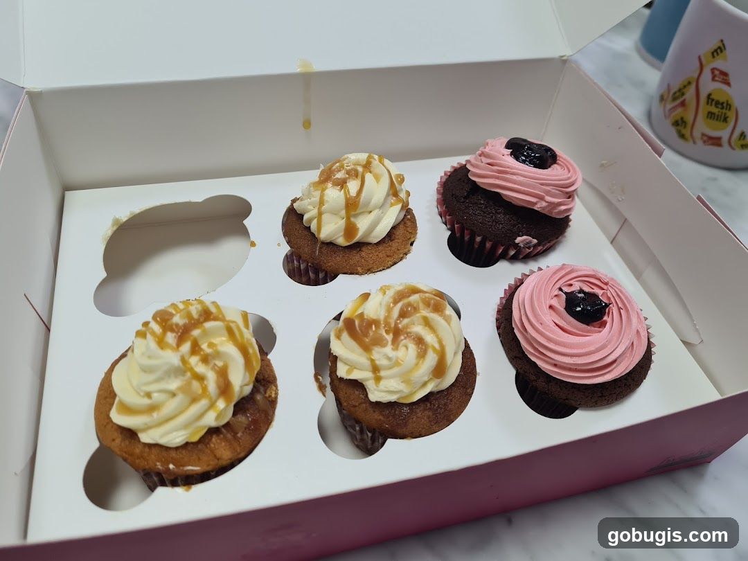 Cupcakes in a box