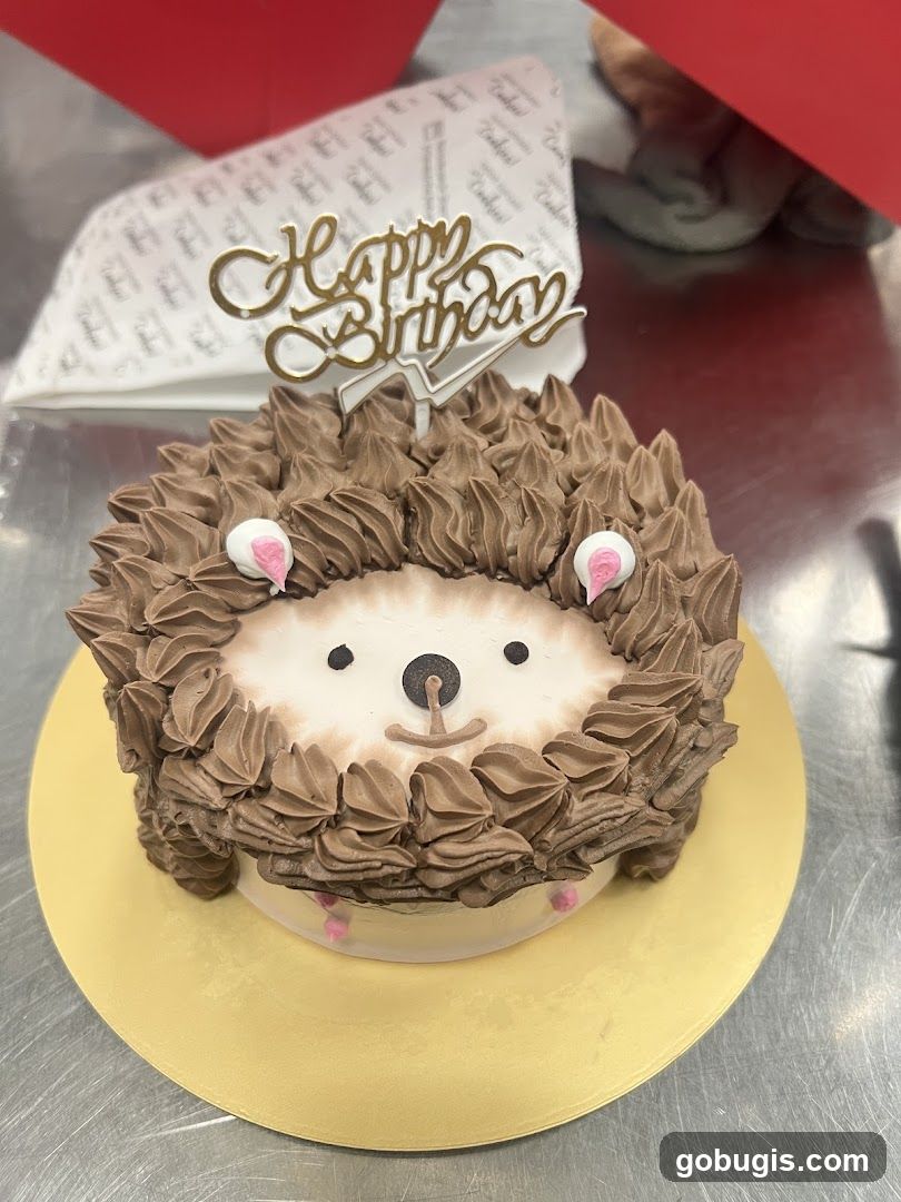Hedgehog Birthday Cake