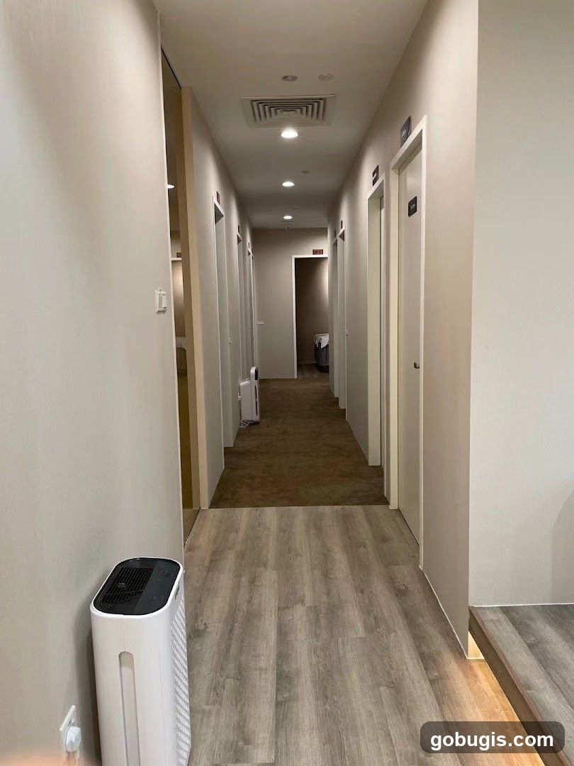 Hallway with Doors