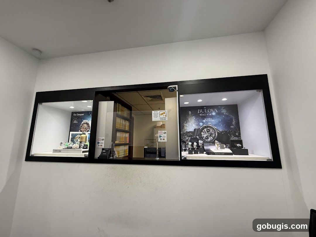 Watch Display Cases