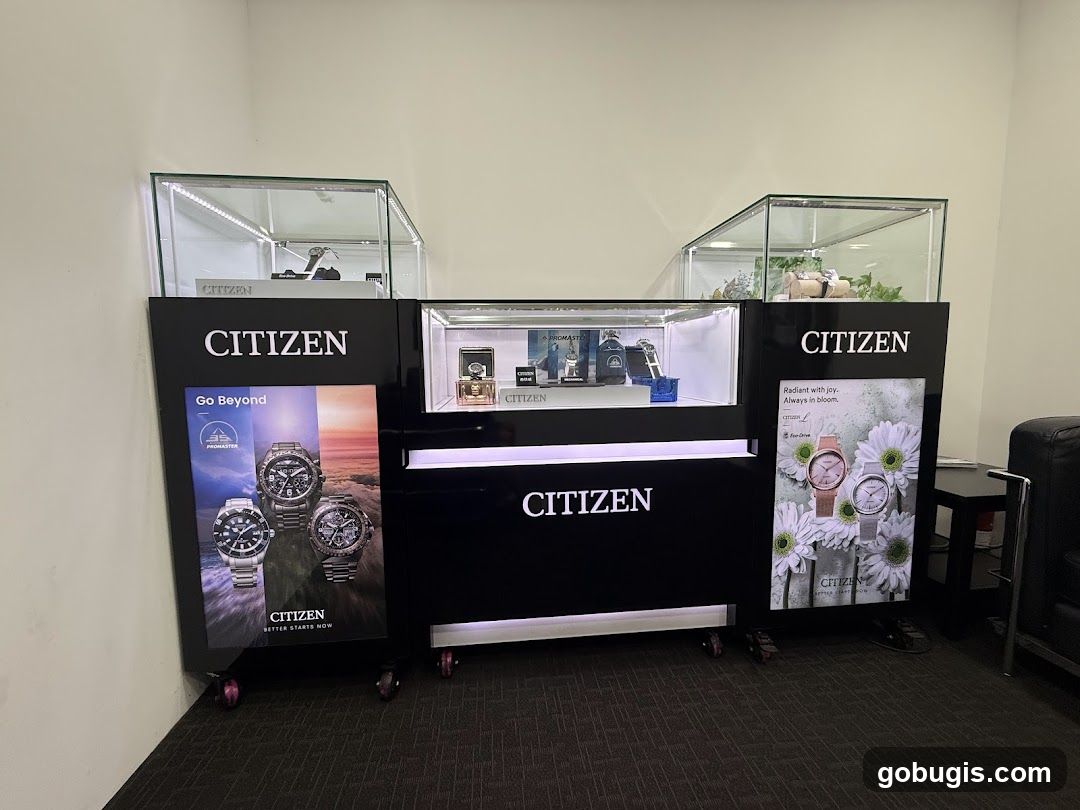 Citizen Watch Display