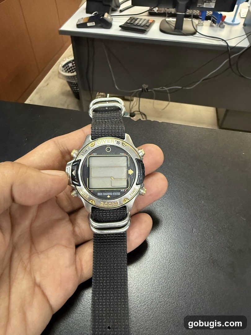 Citizen Diver's Watch