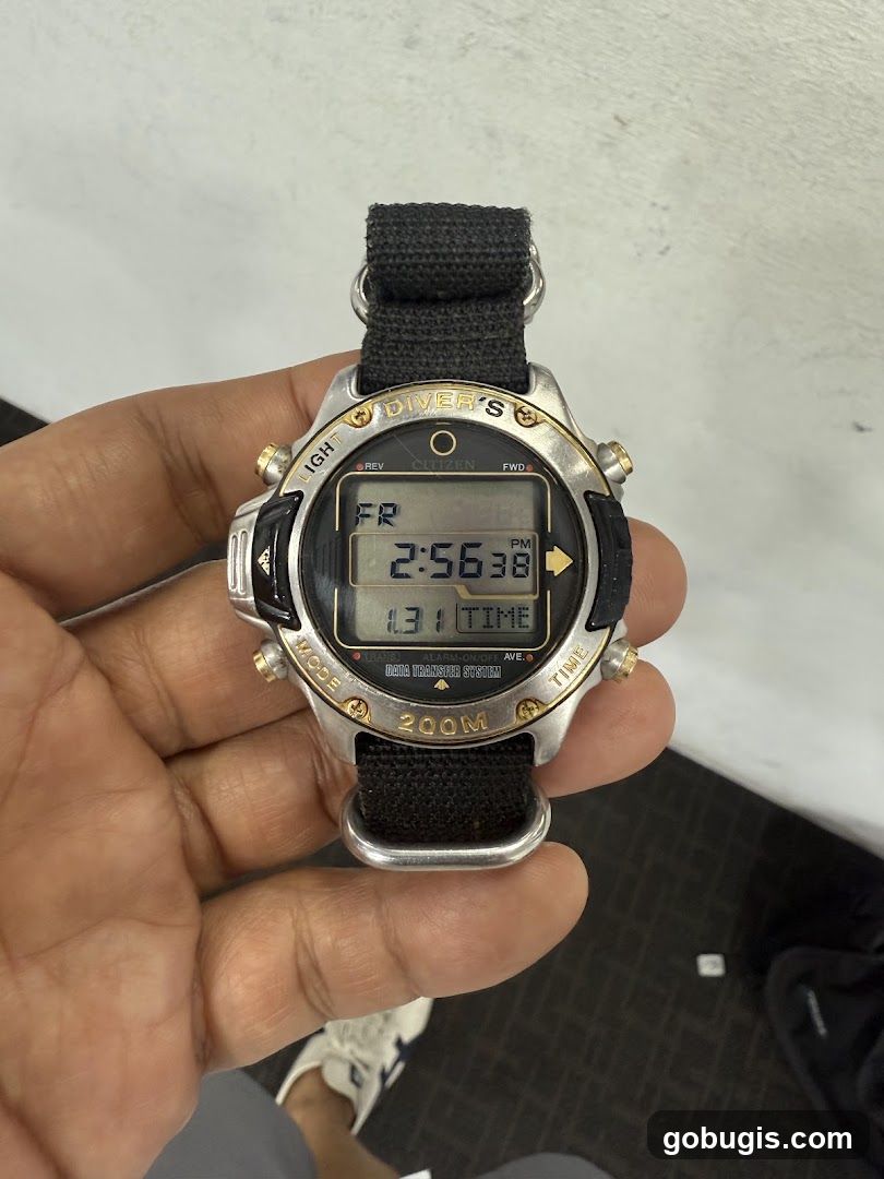 Citizen Divers Watch