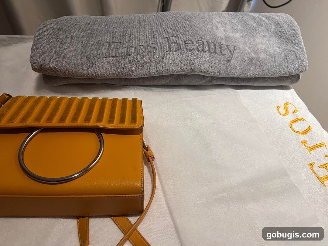 Towel and Handbag