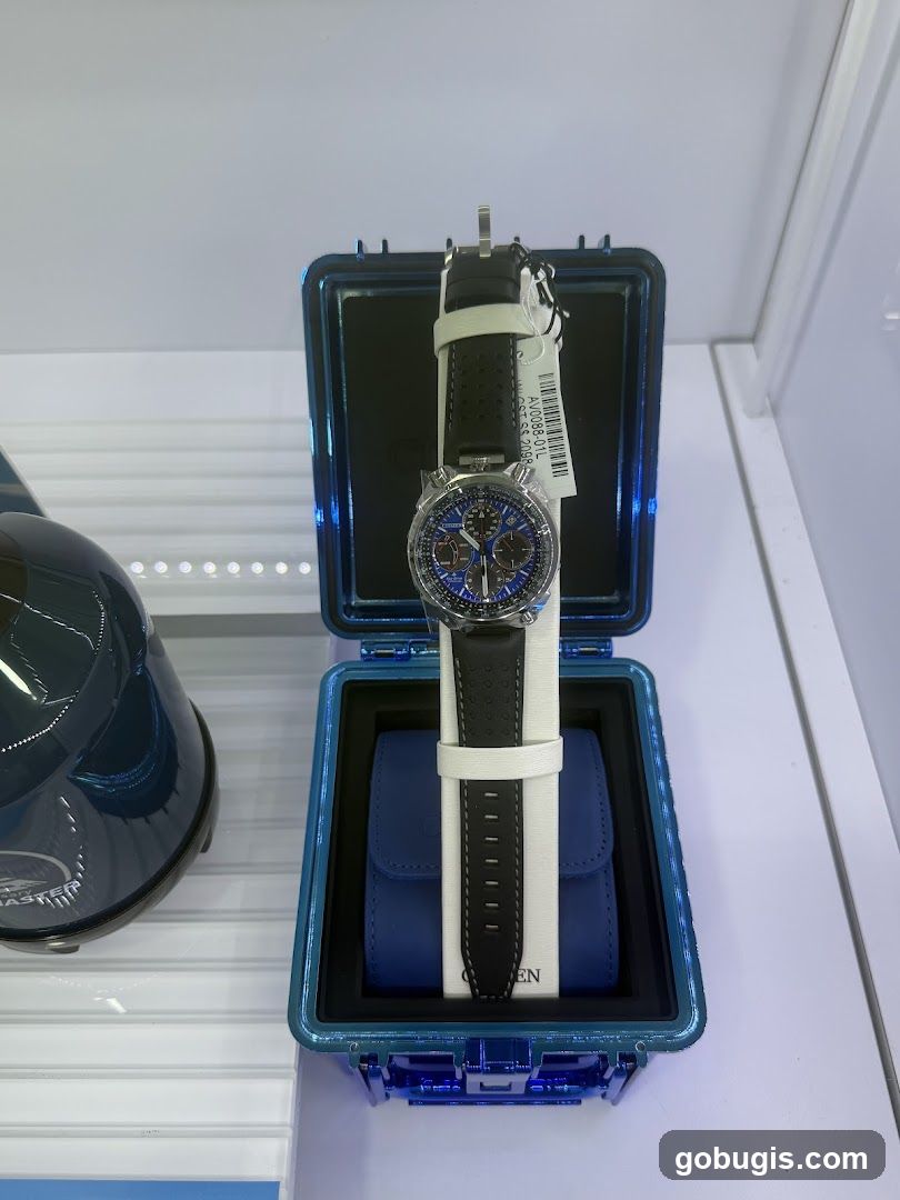Watch Display