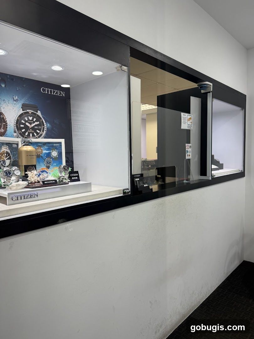 Citizen Watch Display