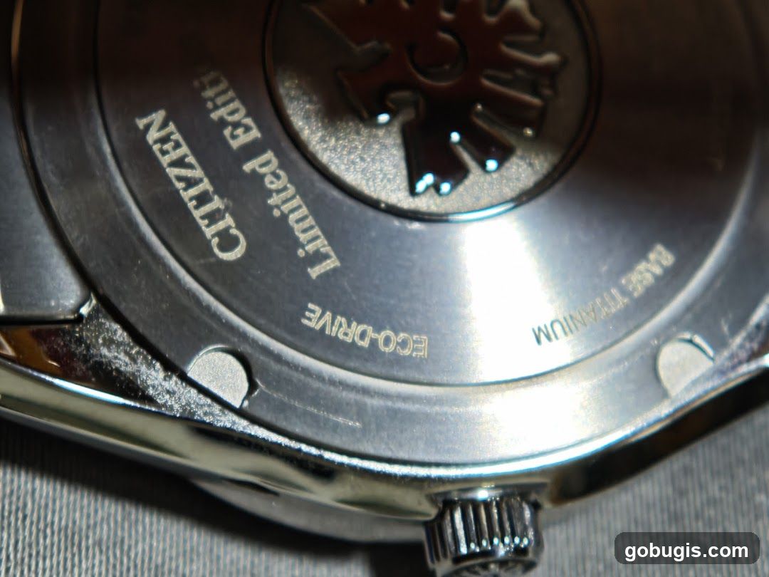 Watch Case Back