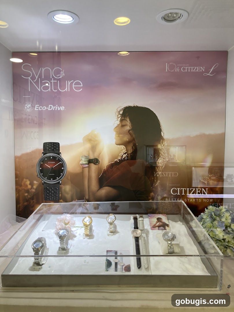 Citizen Watch Display