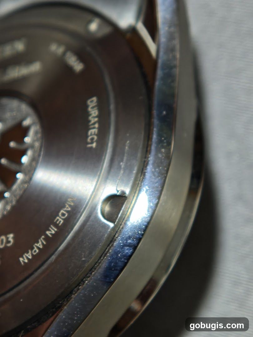 Watch Case Detail
