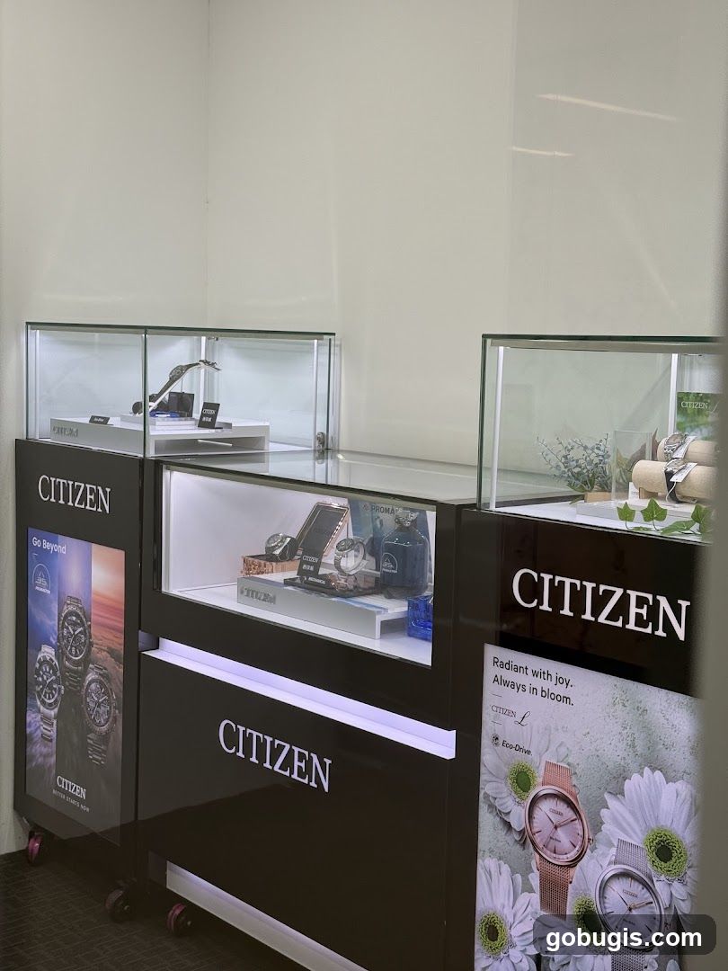 Citizen Watch Display