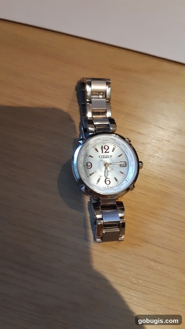 Citizen Watch