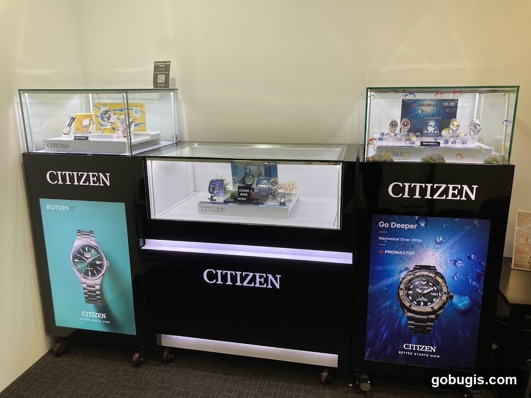 Citizen Watch Display