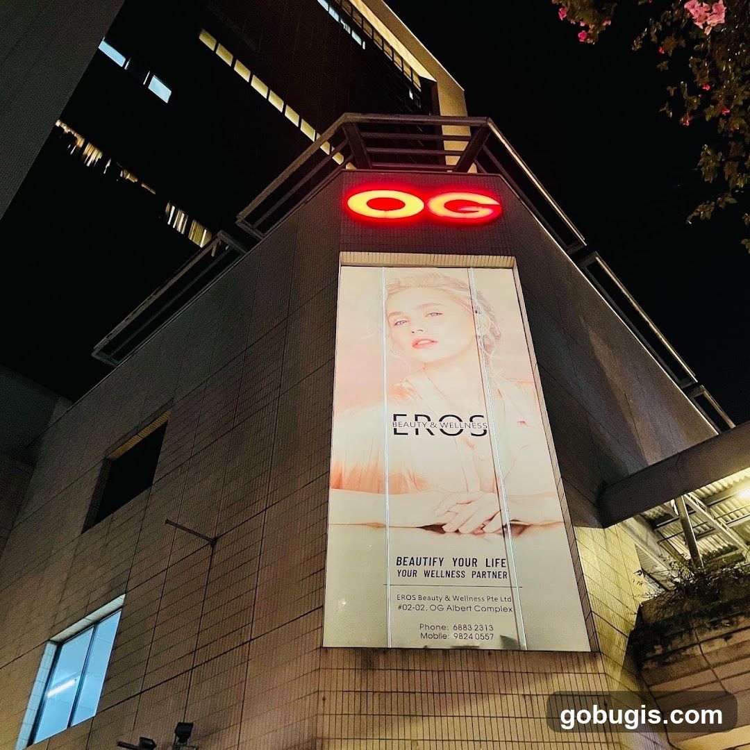 OG Department Store Advertisement