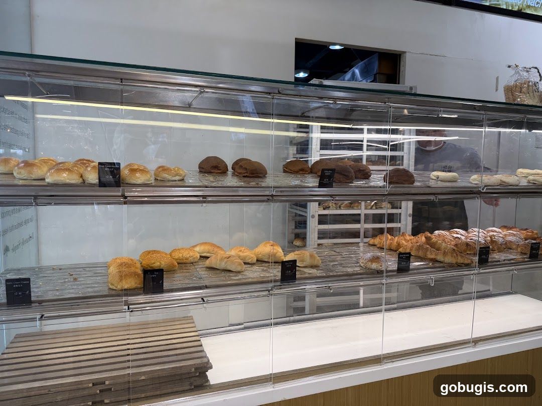 Bakery Display Case