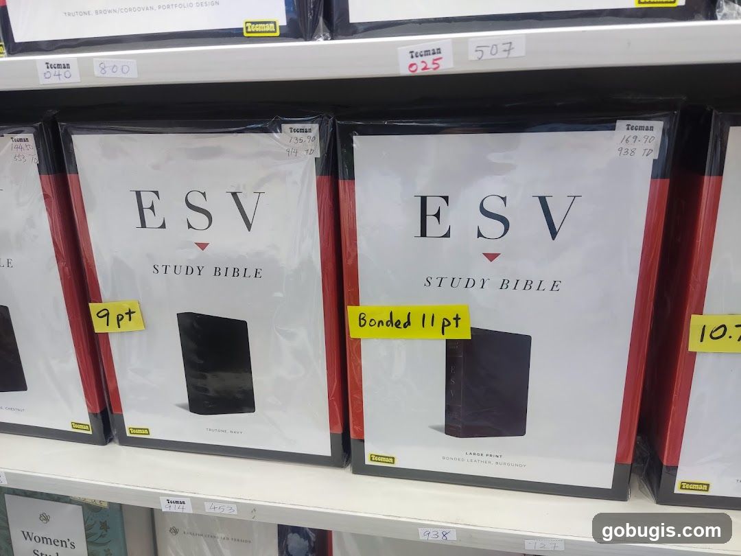 ESV Study Bibles