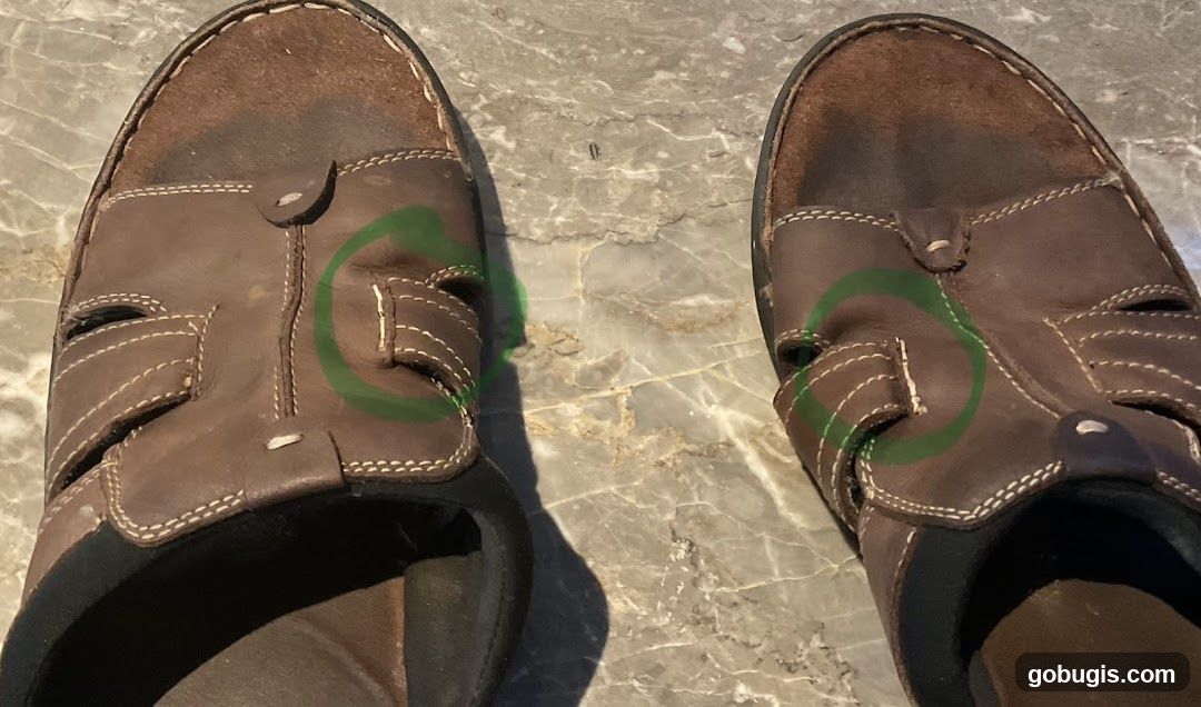 Mr Lau Cobbler