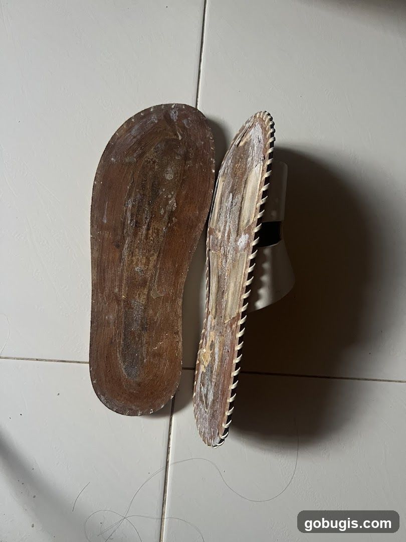 Soles of Sandals
