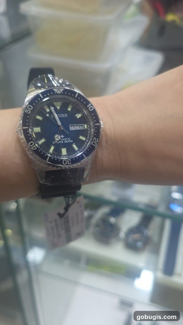 Citizen Dive Watch