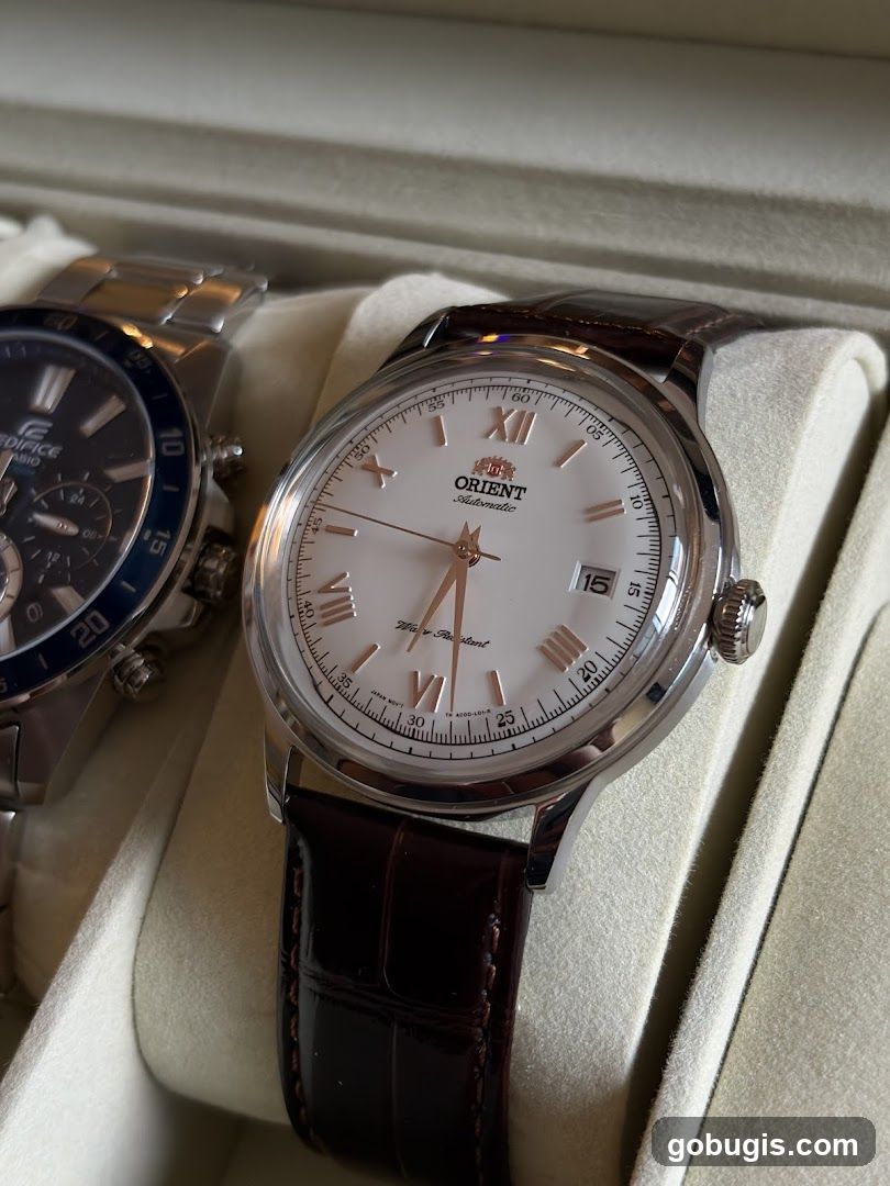Two watches in a display case