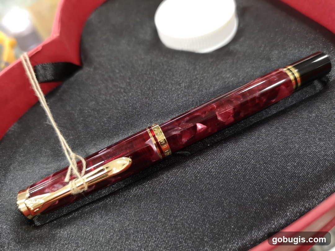 Fountain Pen