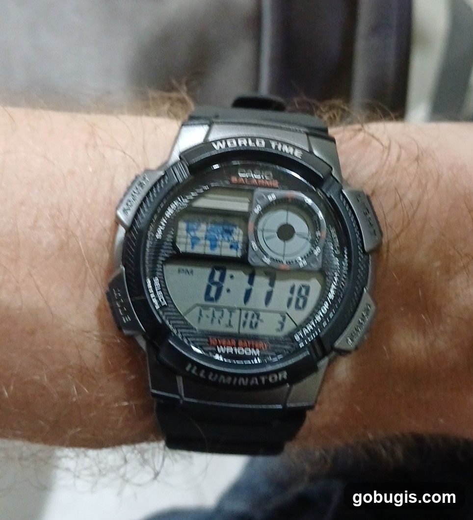 Casio World Time Watch