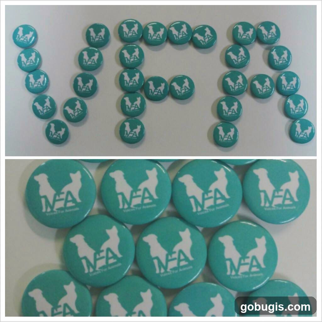 VFA Badges