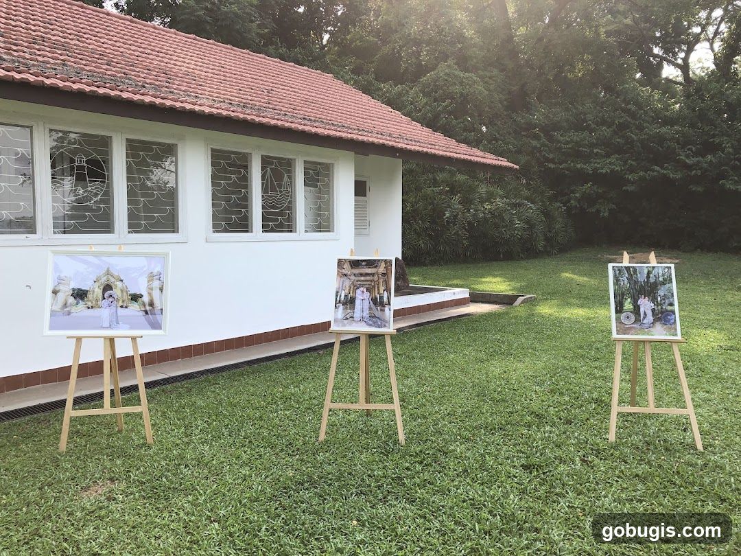 Outdoor Display of Photographs