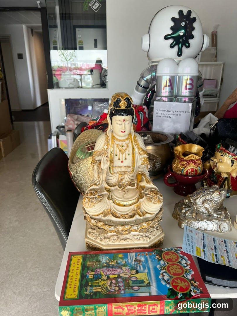 Decorative Items and Humidifier