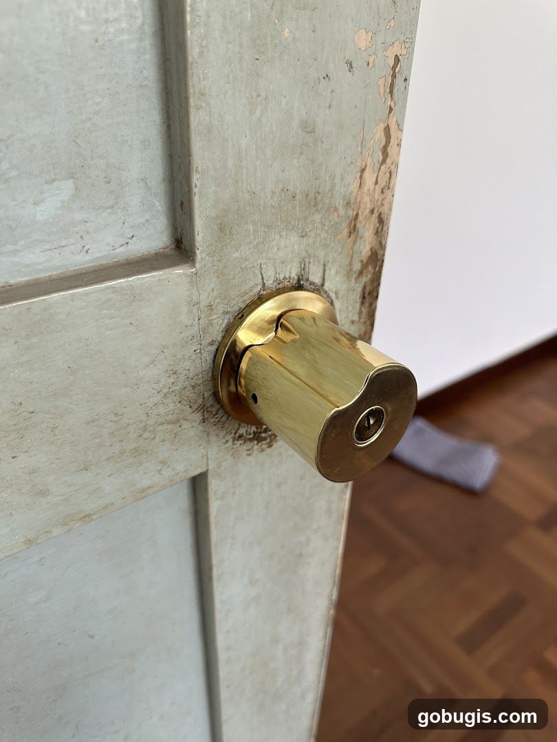 Door Knob