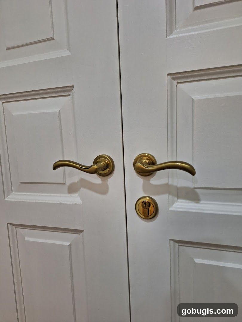 Double Doors with Brass Hardware