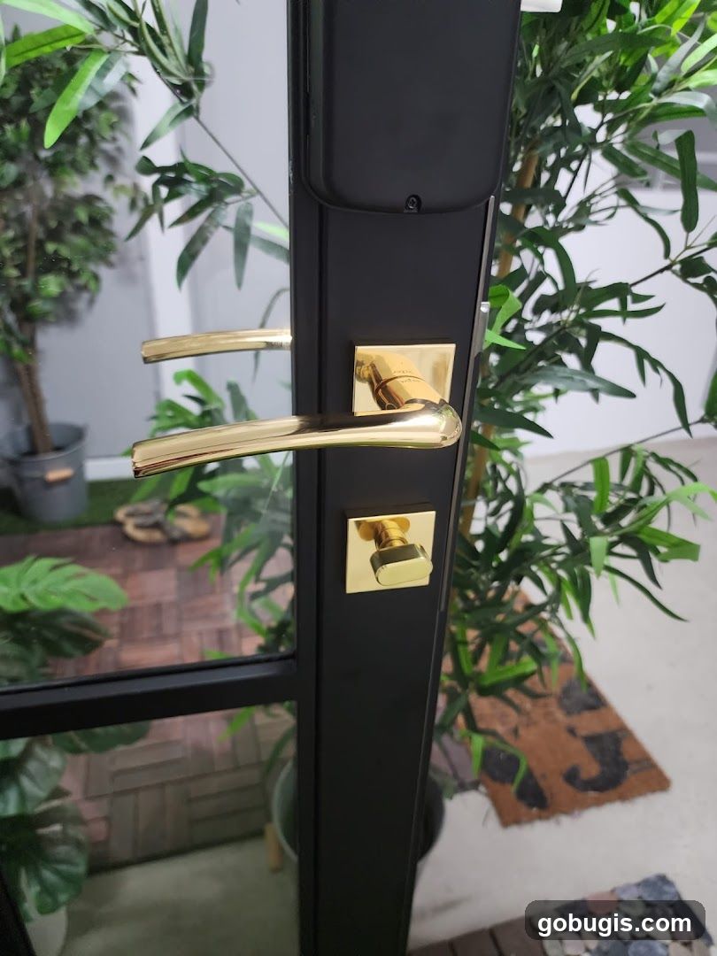 Door Handle Detail