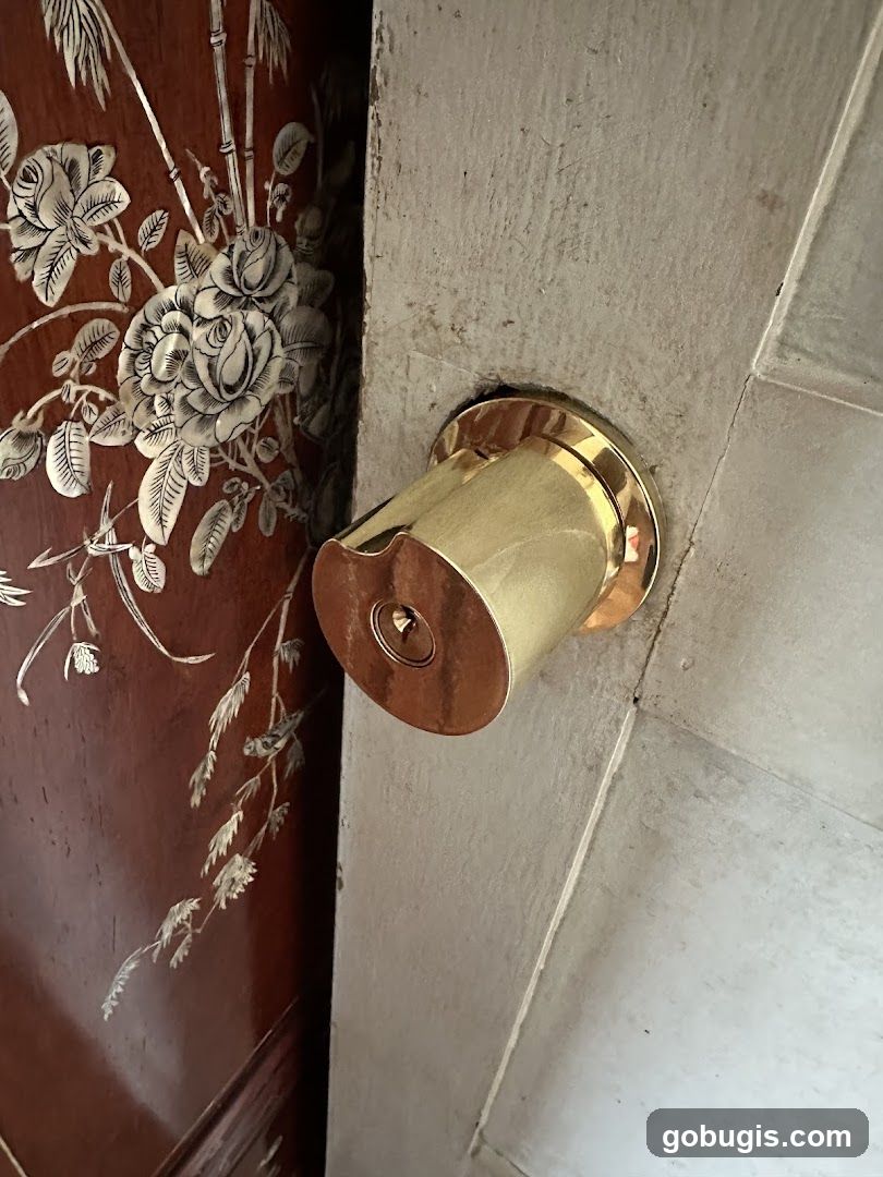 Door hardware detail