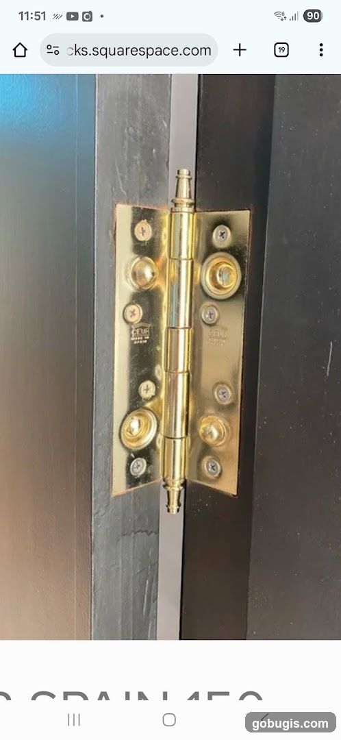 Door Hinge