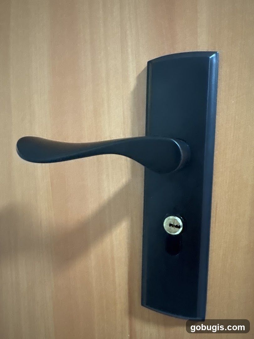 Door Handle
