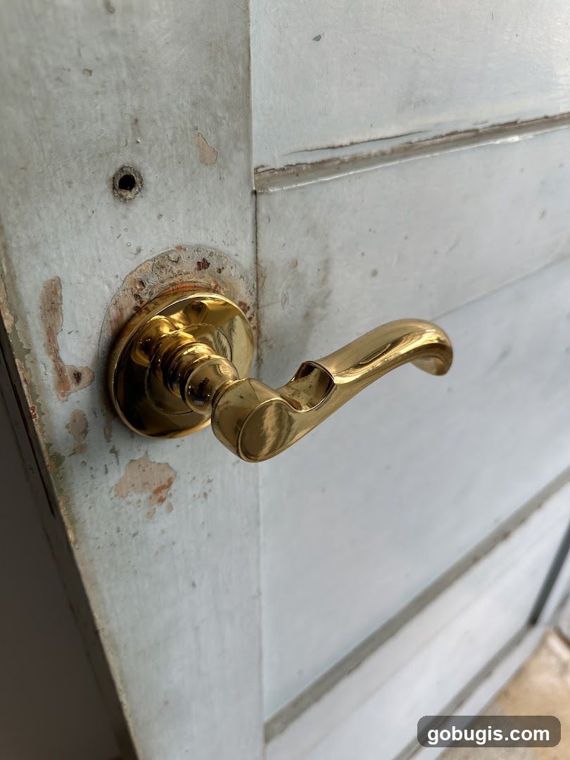Door Handle