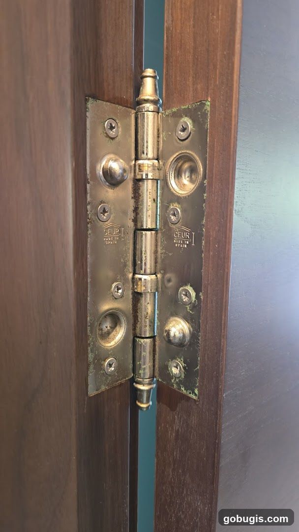Door Hinge