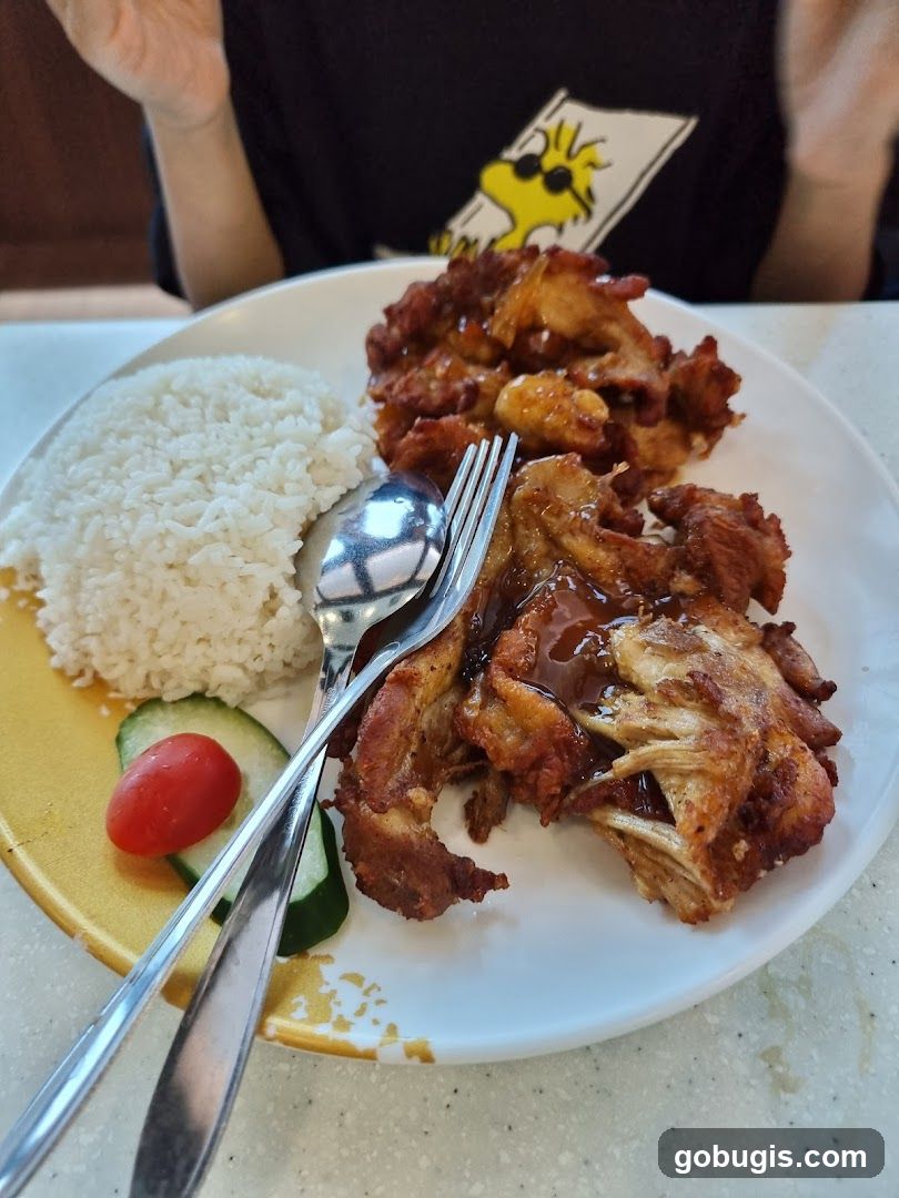 Fried Chicken with Rice