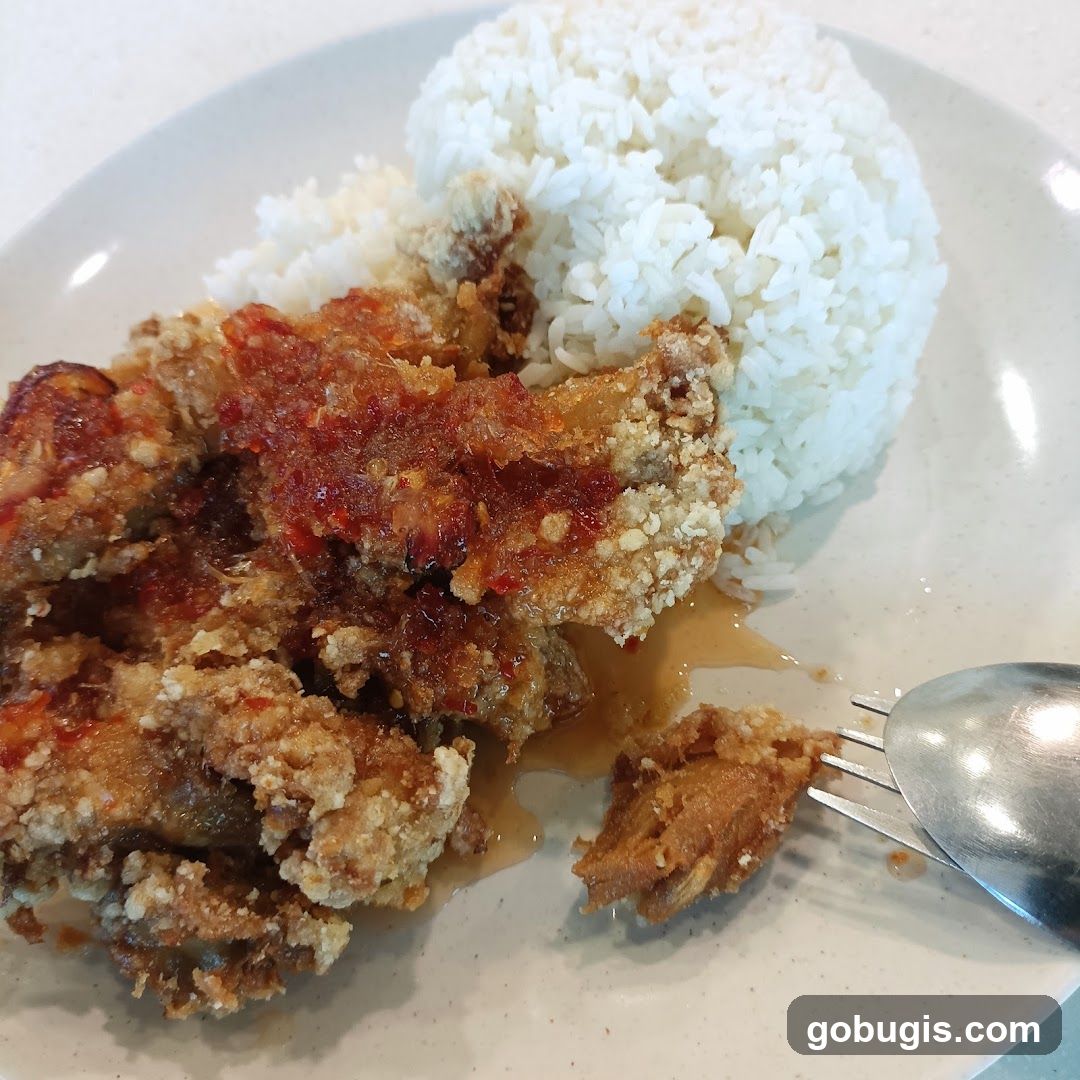 Fried Chicken with Rice