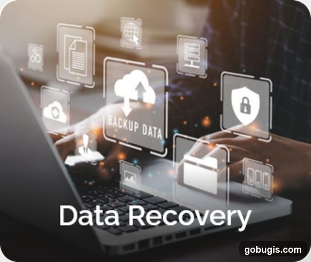 Data Recovery